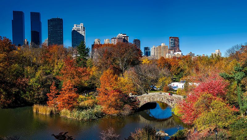 central park nueva york