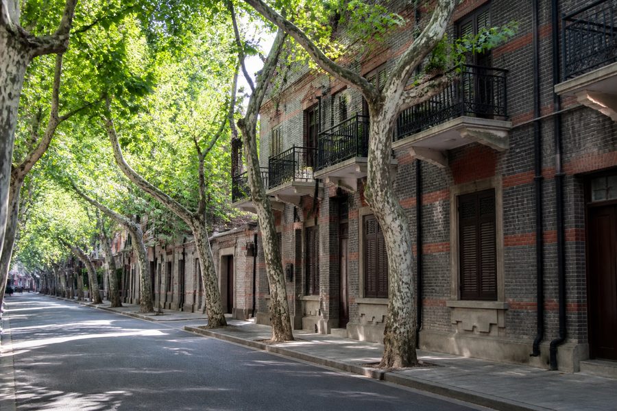 Calle arbolada de la antigua Concesión Francesa de Shanghái, con plátanos y casas bajas de ladrillo