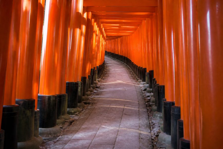 Túnel de torii naranjas consecutivos subiendo la ladera en Fushimi Inari Taisha, sin nadie a la vista