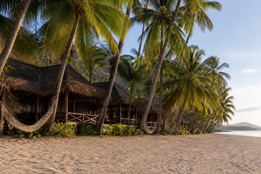 Bungalós de madera con techo de palma entre cocoteros junto a la playa, con hamacas colgadas